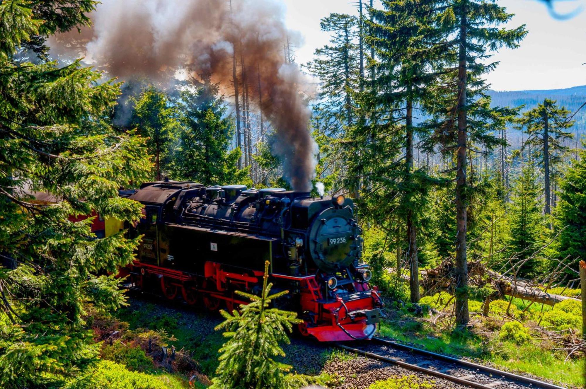 Regiohotel Am Brocken Schierke Dış mekan fotoğraf